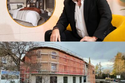 Patrick Bruel choque la France entière : il transforme un village paisible du Vaucluse en palace luxueux digne des plus grandes stars hollywoodiennes !