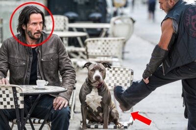 Un motard impitoyable a donné un coup de pied à un chien pour s’amuser, sans savoir que Keanu Reeves en était le propriétaire ! |DD