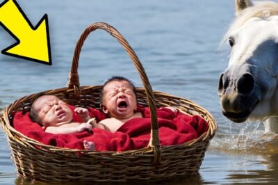 Un millionnaire jette ses jumeaux nouveau-nés dans une rivière en furie, mais la réaction incroyable de son cheval transforme cette horreur en miracle qui stupéfie le monde entier ! |DD