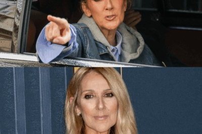 Céline Dion de retour en studio : son émouvant hommage en chanson à Serge Fiori |DD
