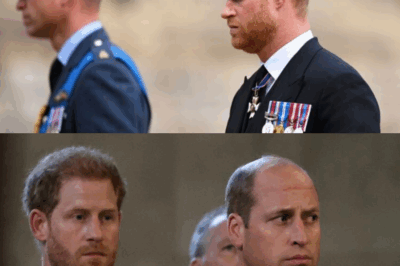 Princes William et Harry : leur cousine Rosie Roche retrouvée morte, elle n’avait que 20 ans