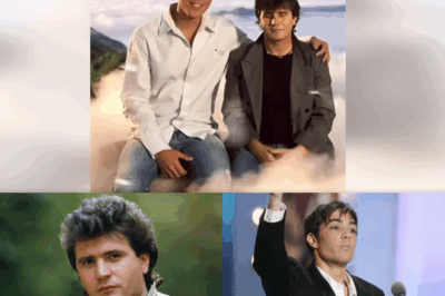 “Quand deux voix montent vers le ciel… 🕊️ Grégory Lemarchal & Daniel Balavoine 🕊️ : l’un chantait pour vivre, l’autre vivait pour briser les tabous. Jamais croisés sur Terre, mais là-haut, leurs voix s’unissent pour nous rappeler : ‘Aimez, luttez, chantez. Pour nous, pour vous, pour la vie.’ Deux révoltes, deux tendresses, deux destins qui n’ont cessé d’inspirer. Leurs silences aujourd’hui résonnent plus fort que bien des cris. Et dans ce ciel éternel, ils veillent sur ceux qui poursuivent leur combat. Ils ne sont pas partis. Ils ont juste précédé notre route…” ✨