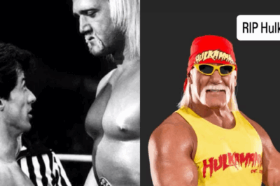 “Morte de Hulk Hogan Deixa o Mundo Estupefato: Lendas da Luta Livre e Celebridades Se Pronunciam – O Que Ninguém Esperava Sobre o Ícone!”