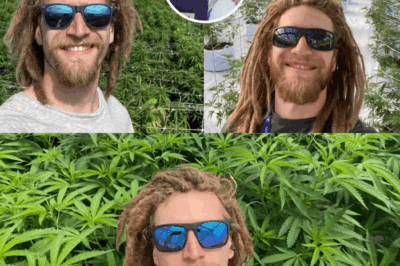 “Filho de Caco Ciocler Surpreende ao Revelar Que Trabalha com Maconha no Canadá: ‘No Brasil, Eu Seria Preso, Mas Aqui Sou Respeitado’ – Descubra o Que Está Por Trás dessa Inusitada Mudança de Vida!”