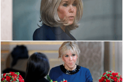 Rumeurs transphobes sur Brigitte Macron : deux femmes qui avaient propagé l’intox relaxées en appel |DD