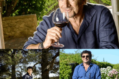 À travers un entretien à cœur ouvert, Patrick Bruel révèle sa passion profonde pour le vin : bien plus qu’une boisson, c’est pour lui une histoire de transmission, de culture et de miracle vivant. Dans ses vignes provençales, il cherche l’équilibre parfait entre tradition et émotion. Comment ce chanteur de légende est-il devenu vigneron respecté ? Quelle philosophie intime porte-t-il sur le vin, qu’il décrit comme « un miracle » ? Ses confidences étonnantes sur les vendanges, les parfums du raisin et l’alchimie du terroir bouleversent les clichés. Découvrez un visage méconnu de l’artiste… cliquez sur le lien pour lire la suite.