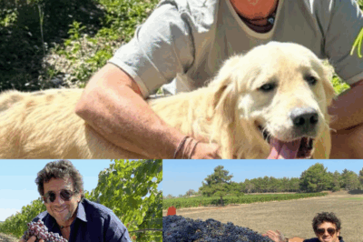 Et si Patrick Bruel n’était pas seulement chanteur ? Ce que peu de gens savent, c’est qu’il possède un domaine provençal digne d’un conte, où il produit une huile d’olive bio que même les plus grands chefs s’arrachent. Son quotidien entre oliviers, ruches et bastide restaurée cache une nouvelle vie insoupçonnée. Cliquez sur le lien pour en savoir plus.