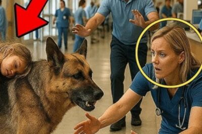 “Inacreditável! Um Cão K9 Faz o Impensável: Leva Menina Ferida ao Hospital e Deixa Todos Sem Fôlego com Sua Coragem!”