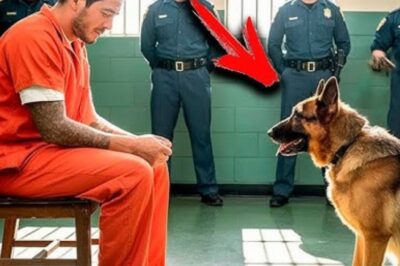 “O Último Pedido de um Presidiário: O Que Aconteceu Quando Ele Pedir para Ver Seu Cachorro Pela Última Vez Abalou Todos na Prisão”