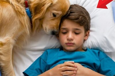 “O Último Milagre: O Menino Quase Se Foi, Mas Seu Cão Fez o Impossível, Salvando-o Quando Até a Medicina Perdeu a Esperança!”