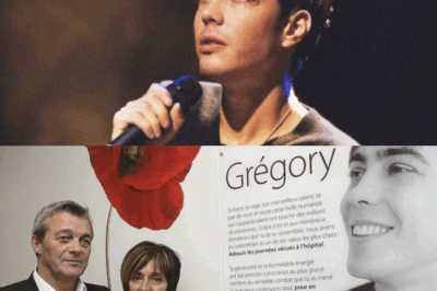 « Quinze ans après la disparition tragique de Grégory Lemarchal, un coffret événement fait son apparition : un hommage d’une intensité rare, qui réveille des souvenirs intacts, ravive l’émotion d’un public toujours marqué par sa voix d’ange et promet de sublimer la douleur en un instant d’éternelle grâce. »