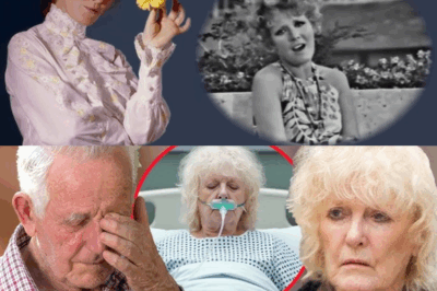 🕊️💔 Petula Clark est décédée à l’âge de 95 ans : lors de ses funérailles, son fils révèle ses derniers instants