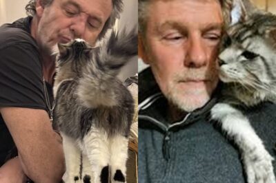 Il pensait que plus jamais un animal ne pourrait combler le vide laissé par Donna, jusqu’à ce que ce chaton apparaisse un soir de pleine lune et fasse quelque chose d’incroyable… cliquez sur le lien pour découvrir toute l’histoire