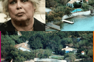 💎🕊️Le VRAI Trésor de Brigitte Bardot : Au-delà des paillettes et des millions, la vie cachée d’une icône devenue martyre pour les animaux. Découvrez l’incroyable histoire d’une fortune abandonnée pour une cause sacrée, et comment une star a bâti un empire de compassion, une villa devenue un sanctuaire, et un combat qui a changé le monde à jamais. 🐾✨📜  📖Lisez la suite pour découvrir le secret de sa véritable richesse, bien plus précieuse que toutes les fortunes du monde.➡️