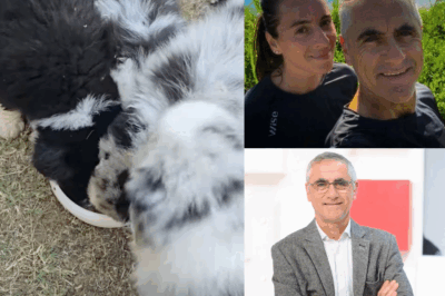 Laurent Jalabert se sépare d’un membre de la famille : “bien sûr que tous les départs sont extrêmement difficiles”