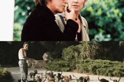 La magnifique villa en Corse offerte par Françoise Hardy à son « amour éternel » Jacques Dutronc reste remplie de précieux souvenirs, même si elle n’est plus de ce monde.
