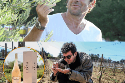 Patrick Bruel et son paradis provençal : le Domaine de Leos, entre passion, terroir et art de vivre