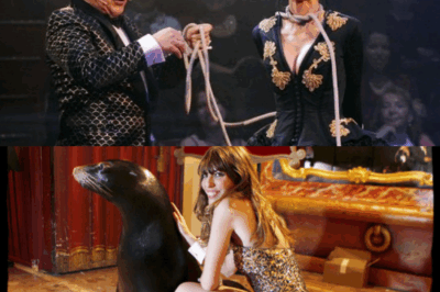 Jenifer a été ligotée par Martin Lamotte lors du gala de l’Union des Artistes au Cirque d’Hiver Bouglione. Sa robe sexy et son corps canon ont provoqué une explosion de colère. Que lui arrive-t-il ?