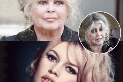 💔 Brigitte Bardot, 50 ans après sa carrière : “Le cinéma a tué la véritable personne en moi !” — L’icône du cinéma français, dans une confession bouleversante, revient sur les sacrifices énormes qu’elle a dû faire pour devenir une star. Elle évoque les ténèbres de sa carrière, comment le poids de la célébrité a écrasé son véritable moi, et les cicatrices laissées par ce destin de légende.