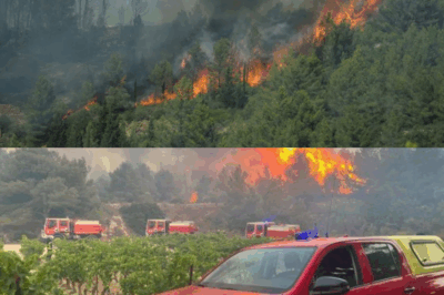 Incendie dans l’Aude : 74 pompiers de l’Ardèche envoyés en renfort