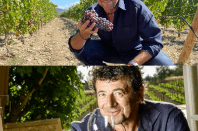 Patrick Bruel, vigneron au domaine de Léos : «Le vin est ma toute première passion»