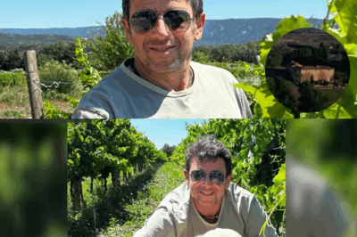 Patrick Bruel : visite guidée de son splendide domaine dans le Vaucluse au nom si symbolique