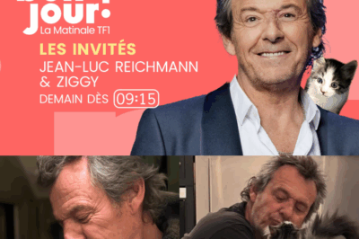 “Il pensait que rien ne comblerait le vide laissé par Donna, jusqu’à ce qu’un chaton apparaisse un soir de pleine lune et accomplisse l’incroyable… Découvrez toute l’histoire en cliquant ici !”