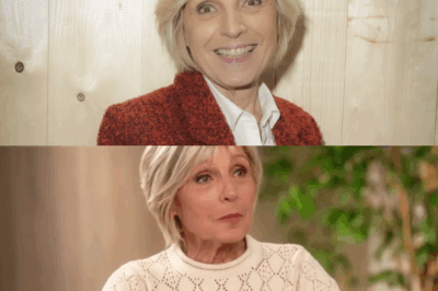 Révélation choc — Évelyne Dhéliat, à 77 ans, prête à prendre sa retraite ? “Ça ne dépend pas que de moi” : une décision qui bouleverse ses fans ! La suite va vous surprendre.