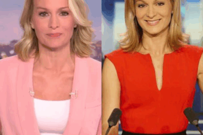 “Un exploit inédit après 15 ans : Audrey Crespo-Mara pulvérise un record au JT de TF1, un événement qui va surprendre !”