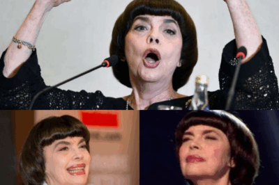 Drama – Mireille Mathieu, l’icône de la chanson française, avoue avoir vécu dans l’ombre d’une identité secrète : lettres anonymes, rendez-vous nocturnes, contrats étranges signés loin des caméras – accident ou manipulation orchestrée ? Que cachait-elle réellement à ses fans pendant toutes ces décennies ? Une vérité dérangeante se dévoile, et ce qui suit va vous choquer. Click to uncover the full story.