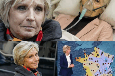 Panique sur le plateau de TF1 : Evelyne Dhéliat s’effondre avant le journal, hospitalisation d’urgence dans le plus grand secret — ce que les médecins ont découvert fait frémir toute la rédaction… Cliquez ici pour tout comprendre
