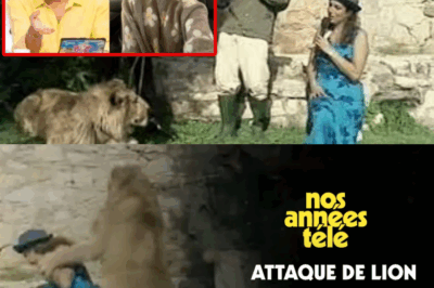 📺 TÉLÉ-CHOC ! L’impensable s’est produit sur le plateau de “40° à l’ombre” : Marie-Ange Nardi, mordue par un lion devant des millions de téléspectateurs ! 🩸 Un événement terrifiant qui a propulsé un certain Jean-Luc Reichmann sur le devant de la scène dans des circonstances extrêmes. Découvrez le récit glaçant de cet accident et de ce remplacement historique. Tous les détails incroyables dans notre article en commentaire ! 👇