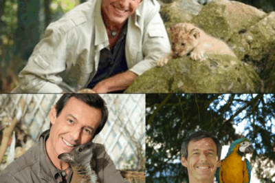 📺 VOUS VOUS SOUVENEZ ? En 2010, Jean-Luc Reichmann cartonnait avec “Victor Sauvage”, un pilote qui a scotché près de 7 millions de Français. 😱 On pensait tous tenir le nouveau héros du dimanche soir, mais la série a connu une fin brutale et mystérieuse. Succès, chute, annulation… 🤯 Découvrez l’histoire de ce triomphe oublié et les vraies raisons de sa disparition des écrans ! L’article complet en commentaire ! 👇