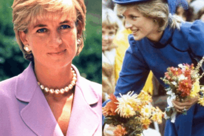 👑💔 Mort de Lady Diana : selon un expert, la monarchie aurait dissimulé la vérité