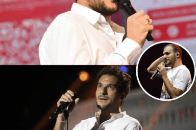 Scandale, boycott, larmes et soutien inattendu : comment le chanteur Amir, hué sur scène, a bouleversé la France avant de recevoir la défense choc de Michel Boujenah