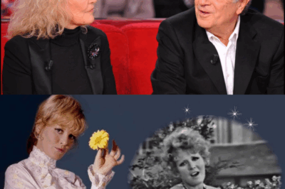 Petula Clark s’est éteinte à l’âge de 95 ans. Lors de ses funérailles, son fils, en larmes, a partagé avec émotion les derniers instants de vie de sa mère.