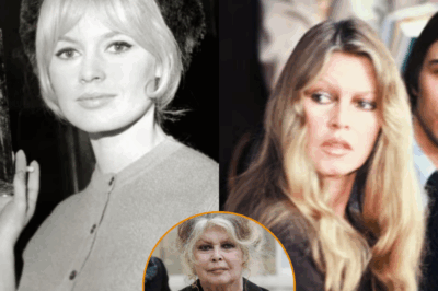 😢🖤 “C’est affreux !” : Brigitte Bardot endeuillée, l’actrice pleure la mort de son “grand frère” et “confident” dans un message déchirant 💔