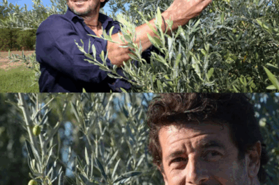Construction d’un hôtel, sa vie en Provence… Patrick Bruel, une passion nommée l’Isle-sur-la-Sorgue👉 Voir le 1er c🗯️mmentaire⬇️👇