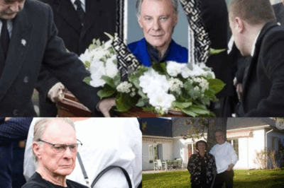 ⏳ “Nous y sommes !” : Cinq mois que cette star des années 80 nous a quittés, ces proches dévoilent un trésor laissé avant de partir 🌹