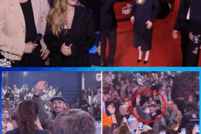 🌟 Dans les coulisses du Zénith : Pierre Garnier a fait une apparition surprise en accompagnant Héléna Bailly, puisqu’elle semblait enceinte au NRJ ?