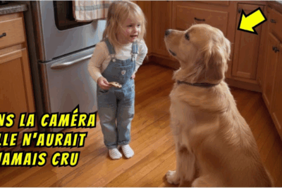 Sans la caméra, la maman n’aurait jamais cru ce que sa fille a fait au chien