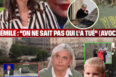 Mort d’Émile: l’interview en intégralité de l’avocate du grand-père du petit garçon