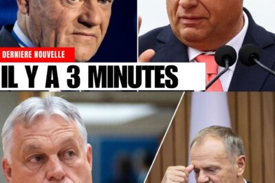 La réponse CHOQUANTE de Viktor Orban à Donald Tusk