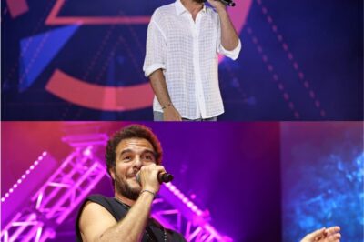 Le chanteur Amir dans une situation inquiétante, ce que l’on sait