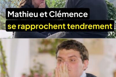« Clémence a tout pété » : dans « L’Amour est dans le pré », Mathieu victime d’une « tornade »