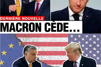 Trump et Orbán s’unissent : Un pacte historique force Macron à une “humiliante” capitulation à l’ÉlysÉE