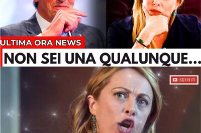 Colpo di scena a La7: Fini spiazza tutti con una dichiarazione shock su Giorgia Meloni!