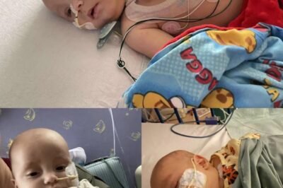 Le miracle de la chambre 7 : quand un petit garçon s’est battu pour revenir du bord de la mort.