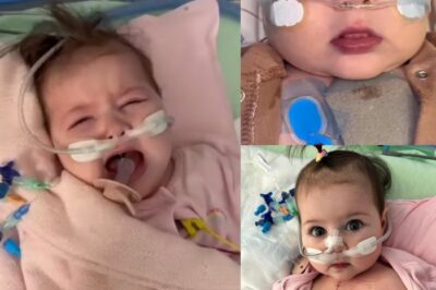 « Âgée de cinq mois, deux opérations à cœur ouvert et toujours en train de lutter pour respirer ».