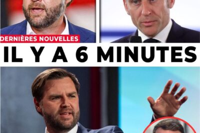 Macron “Explose” : JD Vance Révèle l’Alliance Secrète entre Washington et le RN, Dénonçant le “Front Républicain”